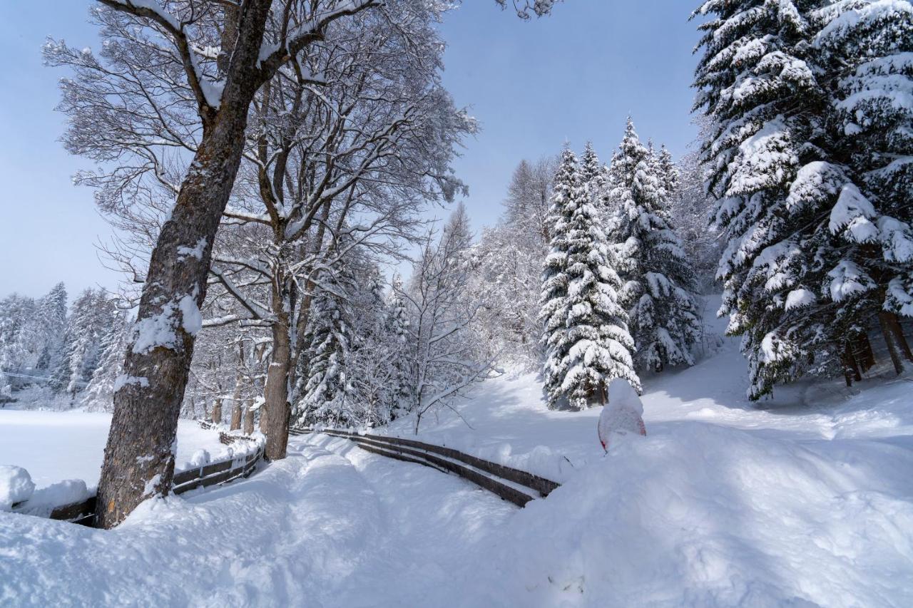Chalet Traumblick Mauterndorf  Exterior photo